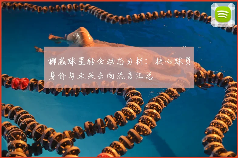 挪威球星转会动态分析:核心球员身价与未来去向流言汇总